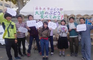 協力隊時代、岩手大学ぶどう部との活動